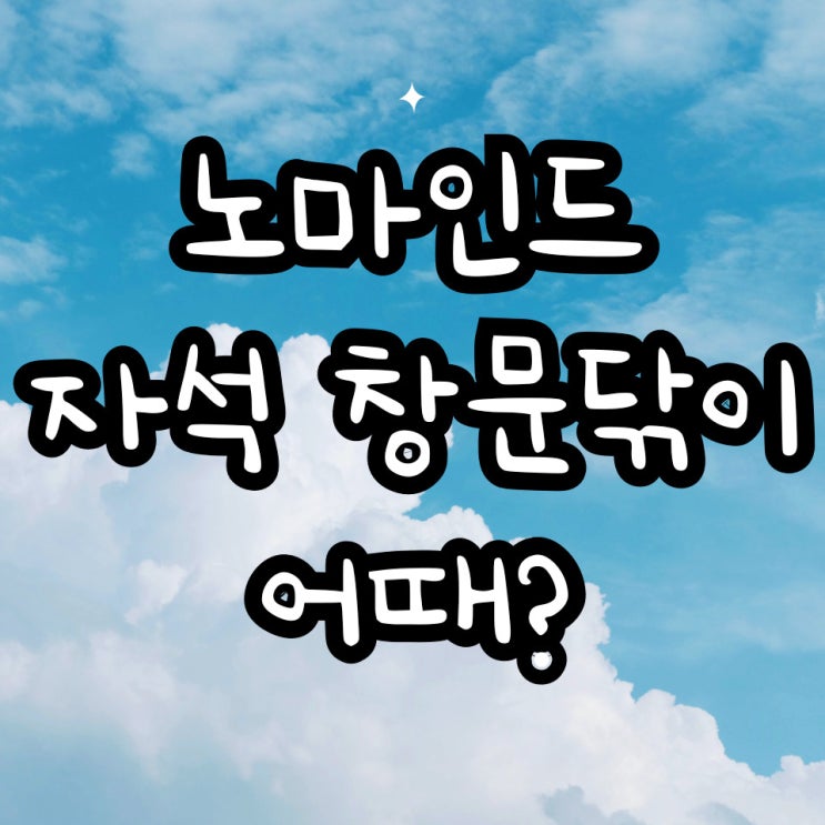 노마인드 자석창문닦이 셀프 유리창 청소 후기