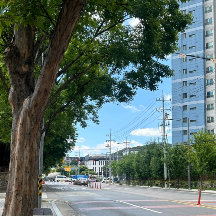  열심히 일하고 열심히 놀고 열심히 마신 일주일 3