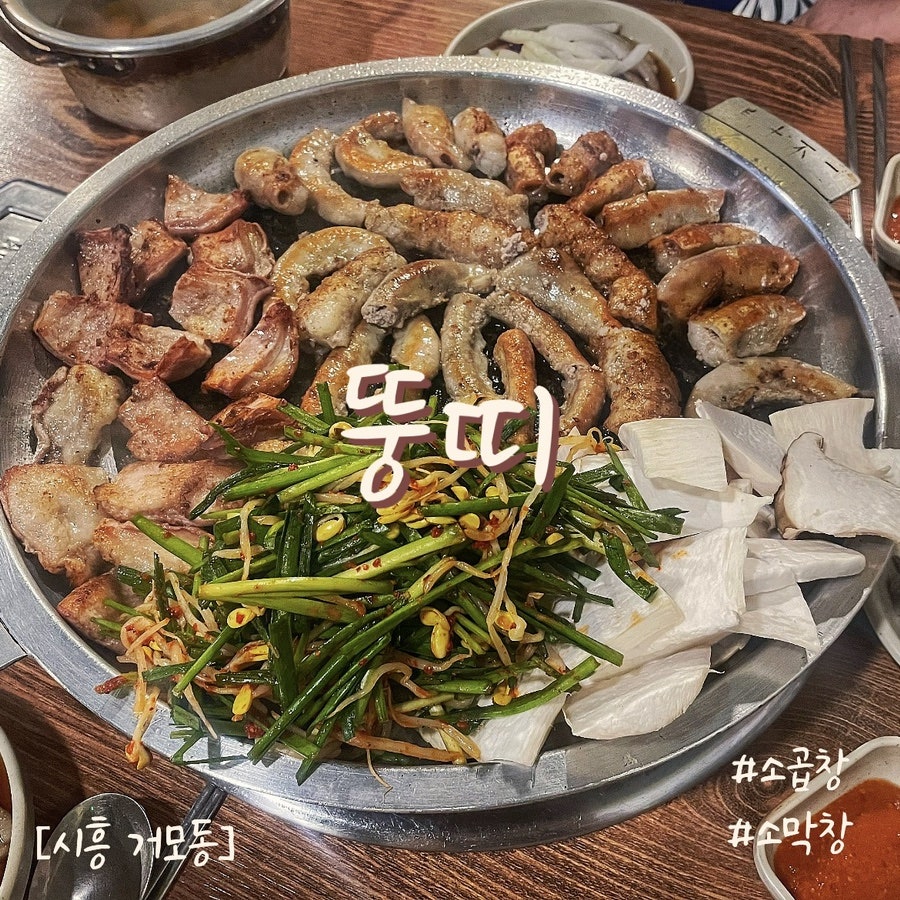 뚱띠 거모점 사진 1
