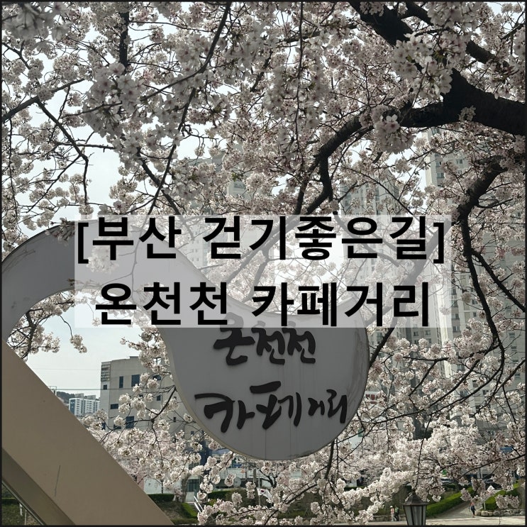  온천천 카페거리 | 부산 가볼만한곳 벚꽃 유채꽃 개화