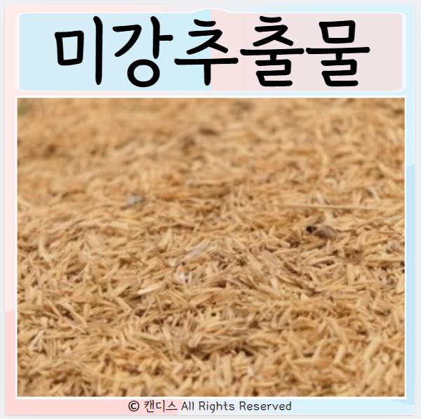  미강추출물 효능 피부건강? 좋은점은?