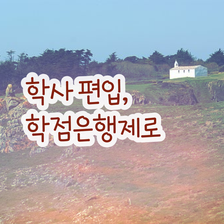  학점은행제 과 , 학점은행제 전문멘토 이것만 반드시 확인하세요