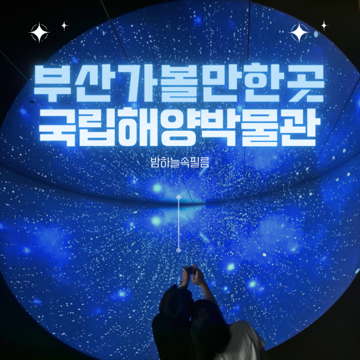  부산 영도 실내데이트 입장료 무료 수족관 국립해양박물관