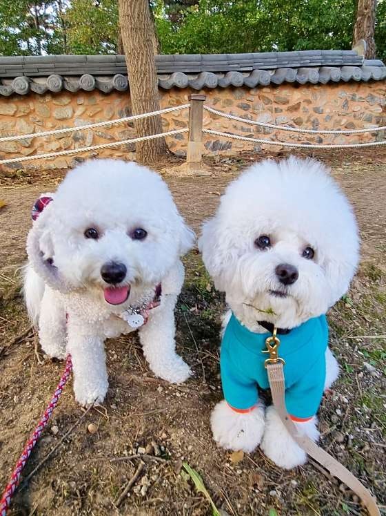 사진 5