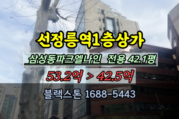  선정릉역 1층상가 경매 삼성동파크엘나인 100평이하