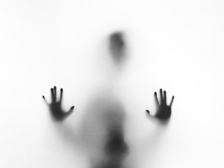 “미용시술 받고 도수치료 청구”…‘솔깃한’ 보험사기 가담했다간? “미용시술 받고 도수치료 청구”…‘솔깃한’ 보험사기 가담했다간?