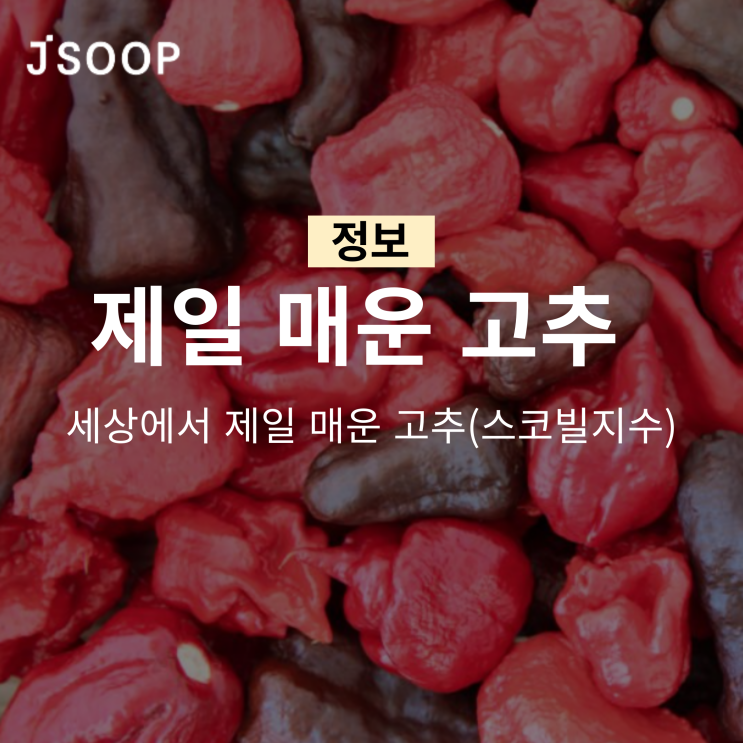  세상에서 제일 매운 고추는 어느정도야?(+스코빌지수)