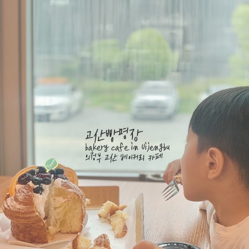 이미지 29686383