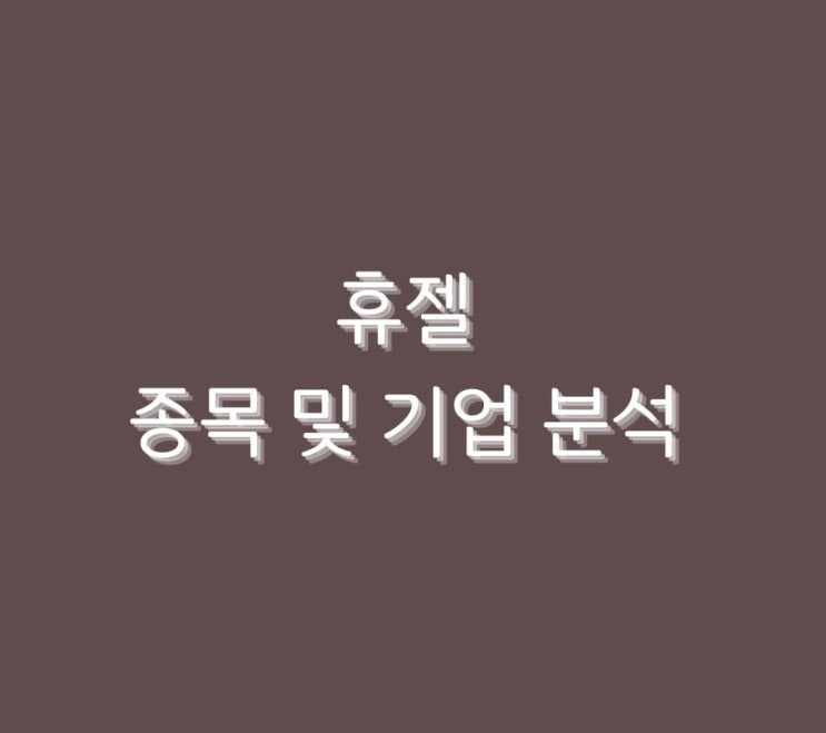  휴젤 종목 및 기업 분석