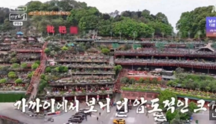"직원만 400명" <b>염혜란</b>, 세계 가장 큰 中 <b>훠궈</b>집 매니저 변신... 