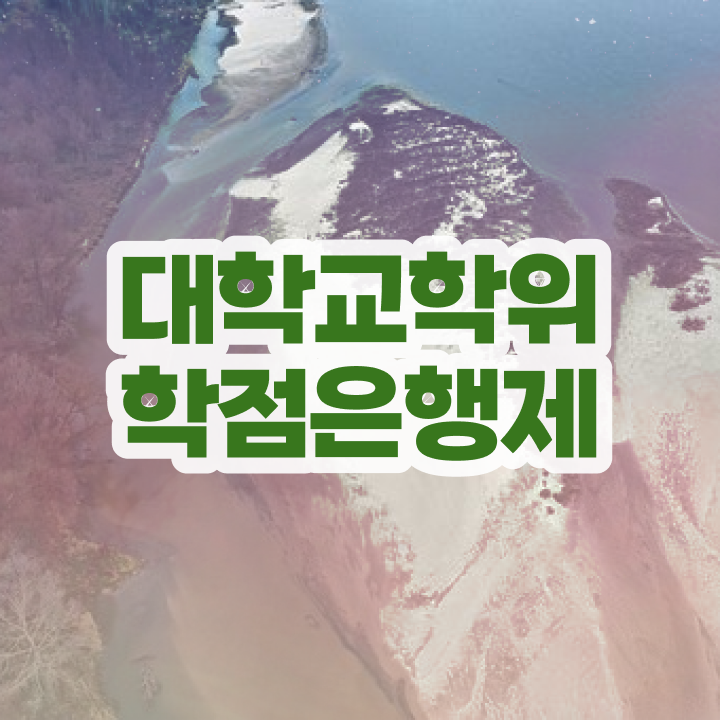  학점은행제 과 , 학점은행제 전문멘토가 비용절감 기간 단축 전략 알려드립니다