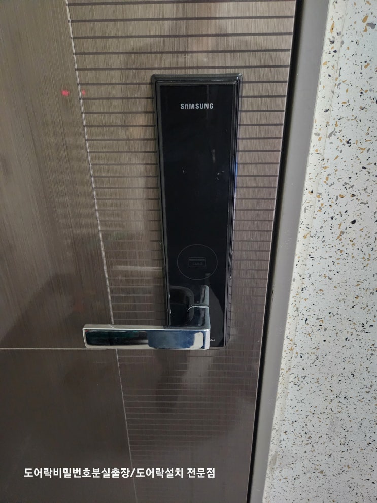  김포 운양동열쇠 삼성 아파트 현관 도어락 비밀번호 분실 틀림 잠겼을때 SHS 5421 잠금 해제