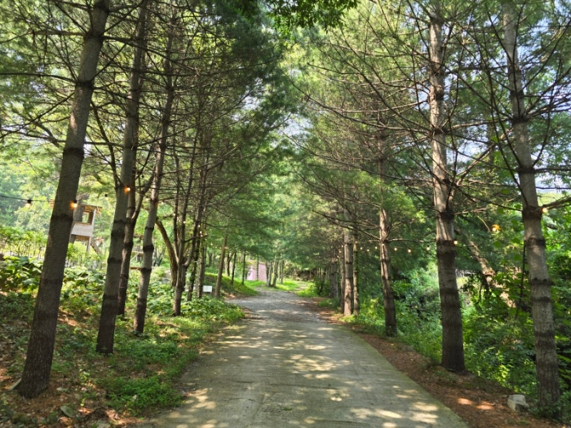 사진 2