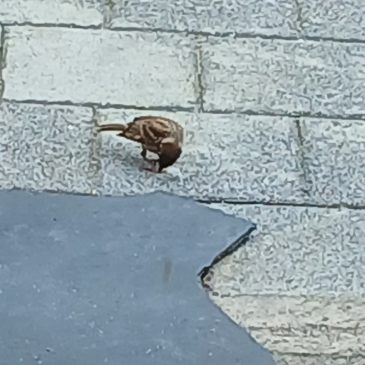  바쁘다바빠현대사회,,
