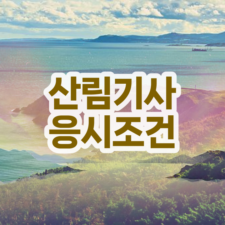  산림기사 학점은행제 산림기사 취득자격 학점은행제로 15주 동안 성공한 후기