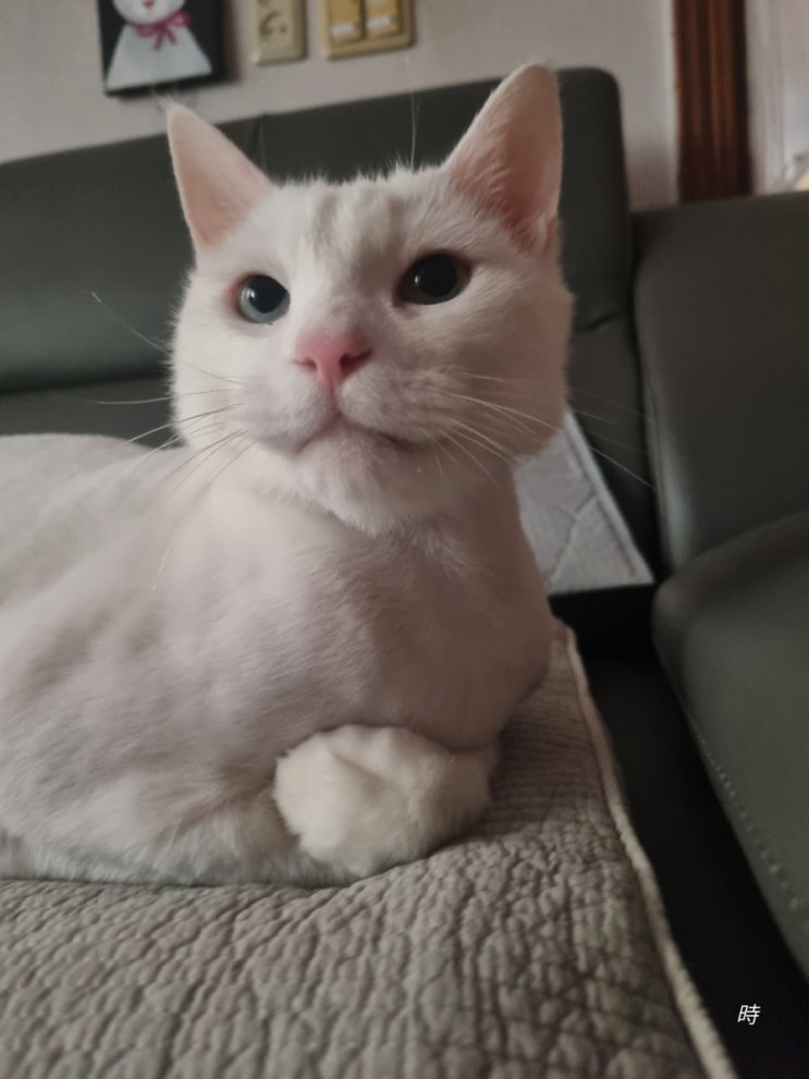  오늘도 귀여워