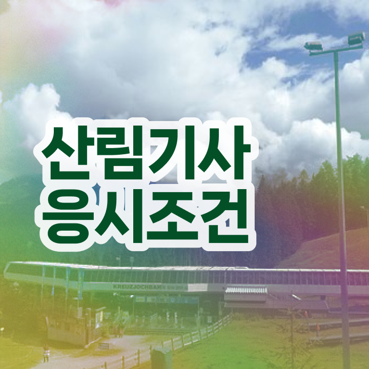  산림기사 시험 조건 산림기사 응시조건 온라인 수업으로 4달 안에 성공한 비법