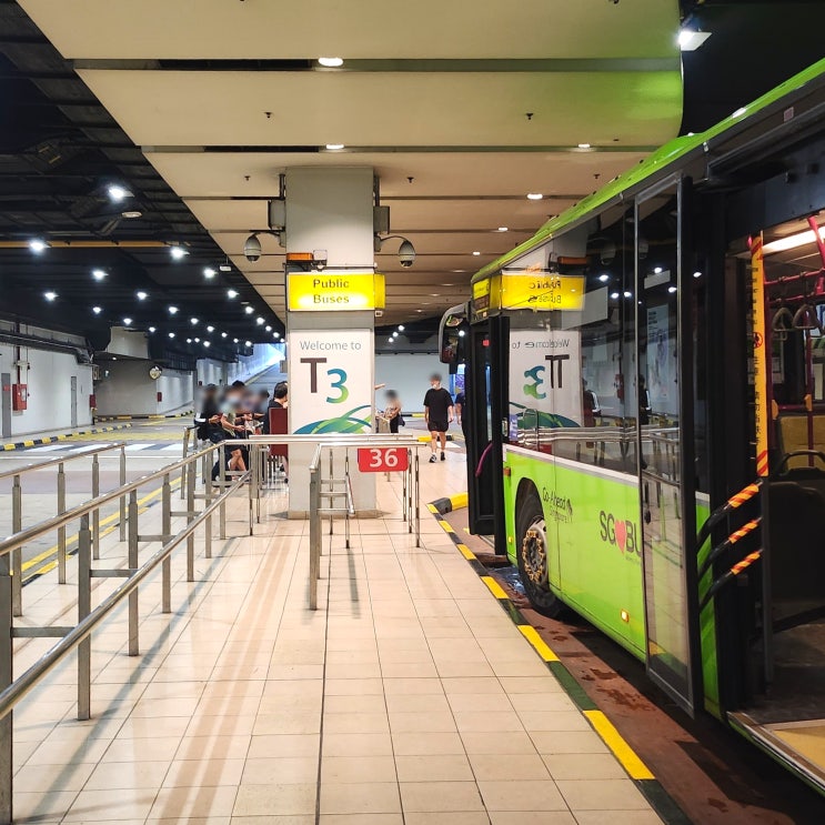  싱가포르 시내에서 창이공항 가기 대중교통 총정리 픽업 버스 MRT 그랩