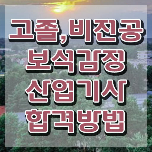  보석감정산업기사 자격요건 독학으로 15주 동안 완료한 후기