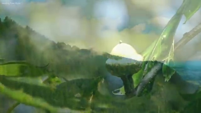  서대문구 북가좌1동 변기막힘 가격 프로 관리인의 조언