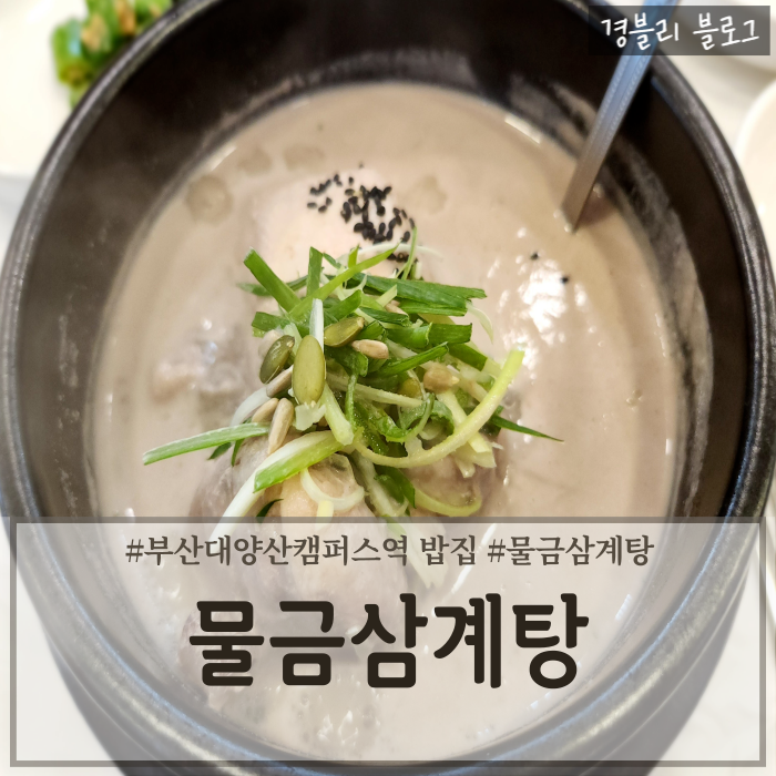  양산 물금 부산대양산캠퍼스역 삼계탕 맛집 복날 삼계탕 추천 '물금삼계탕'