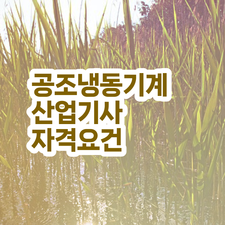  공조냉동기계산업기사 합격률 공조냉동기계산업기사 응시조건 인강으로 단기간에 완료한 노하우