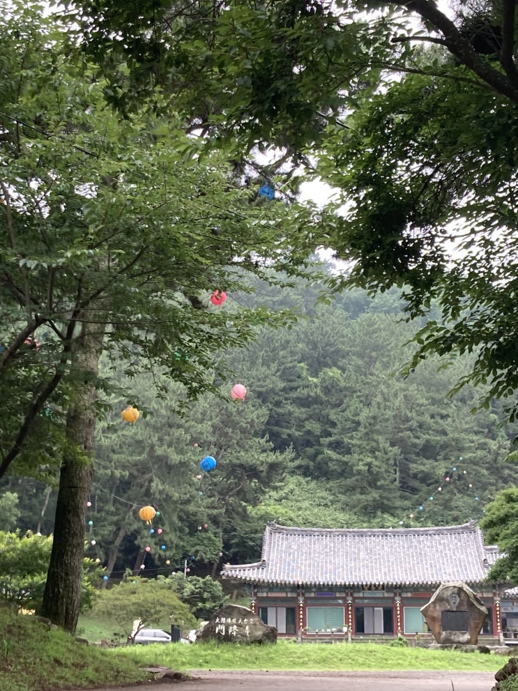  포토덤프3