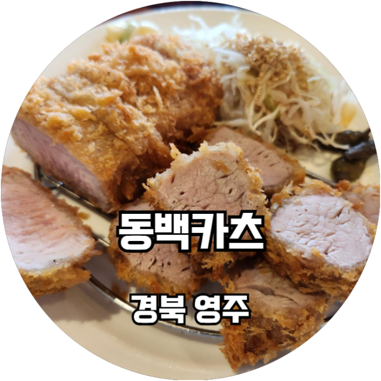  영주택지맛집 바삭한 일식돈까스 동백카츠