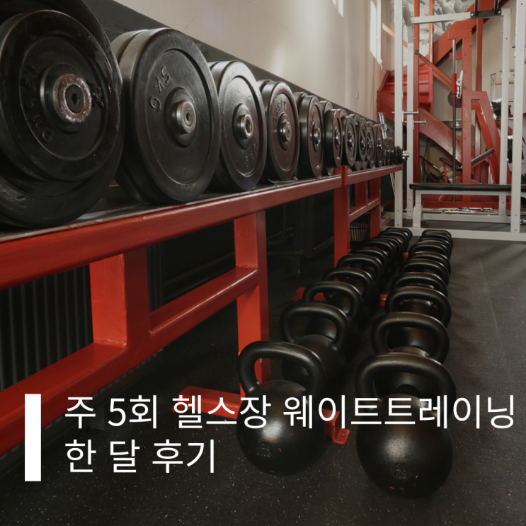  주 5회 헬스장 웨이트 트레이닝 한 달 후기 공개(비교하지 말기)