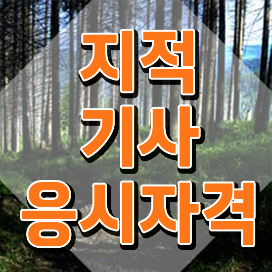 지적기사취업 지적기사 자격요건 온라인 과정으로 5개월 만에 완료한 방법