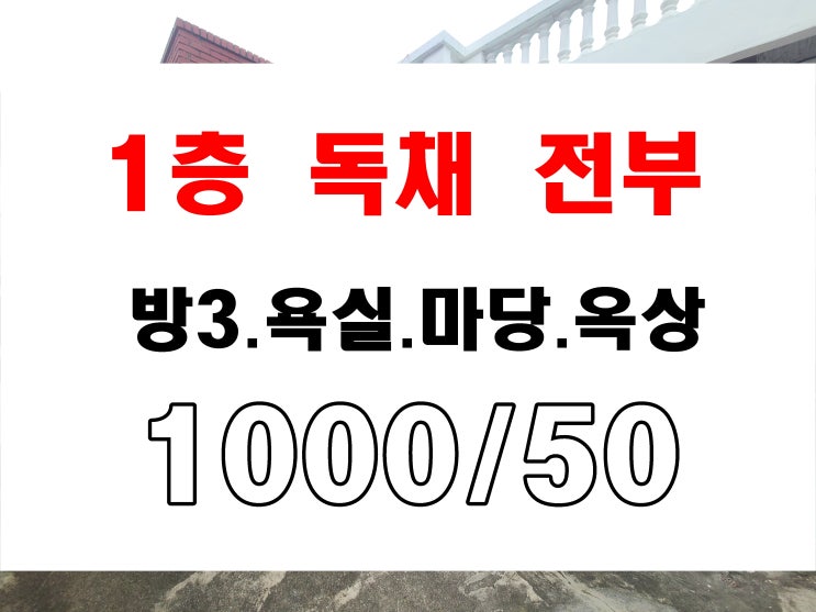 대연동 단독 주택 독채 임대 반려동물 가능 마당 옥상 전용 사용 월세 50만원