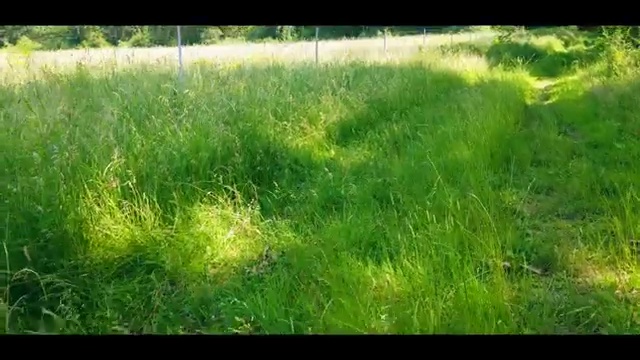  해외여행 패키지 준비해야 한다면 ? 여행 전문가 가 무료로 알려드릴께요! (무료 서비스)