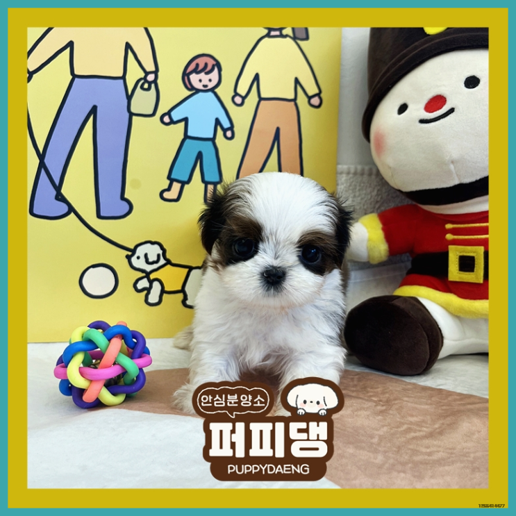  당진말티즈분양 웃음을 선물합니다