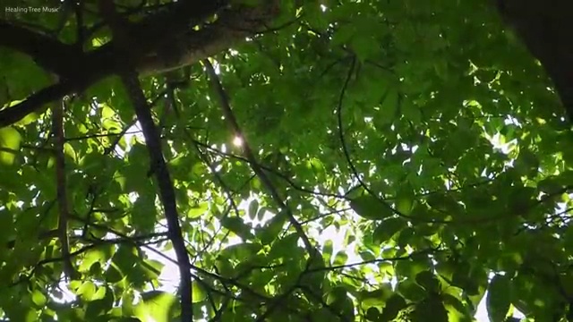 발리 가족여행 생각중이라면 , 여행 전문가 에게 직접 물어보세요. (무료 서비스)