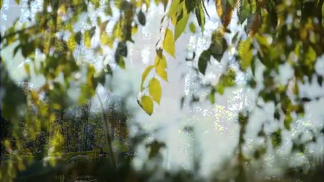  괌여행비용 절감하는 팁 , 현지 전문가 가 직접 정리해드릴깨요 (무료 서비스)