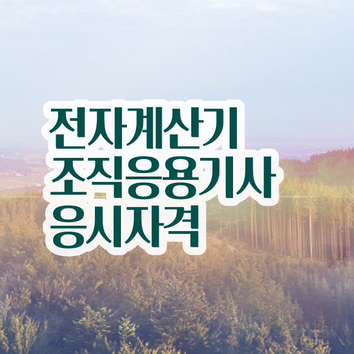  전자계산기조직응용기사 취득자격 인강으로 4개월 만에 성공한 방법