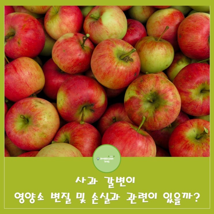  사과 갈변이 영양소 변질 또는 손실과도 관련이 있을까?