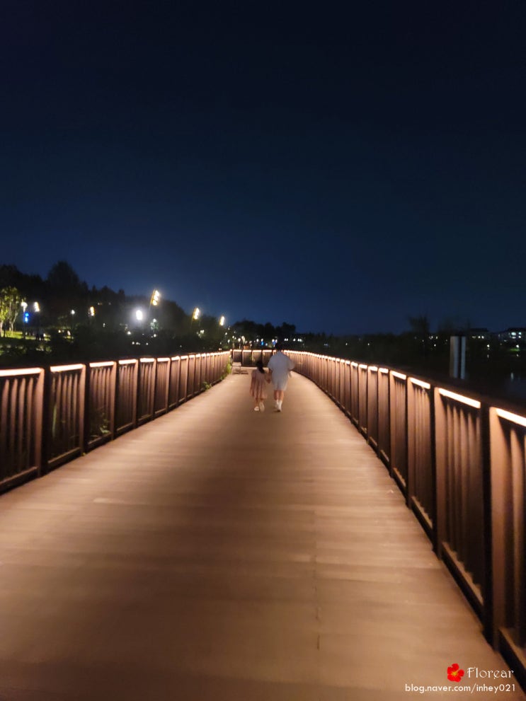 동탄 나들이 동탄호수공원 여유로운 밤 산책 동탄 나들이 동탄호수공원 여유로운 밤 산책