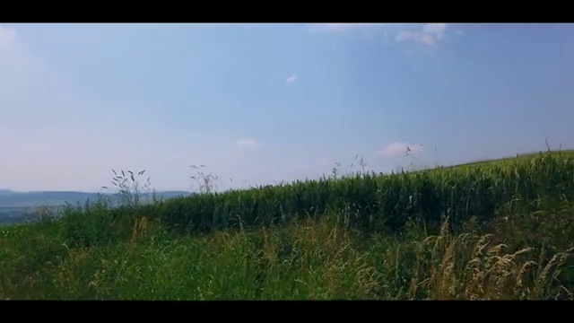  일본 가족여행 추천 , 여행 전문가 가 알려드려요 (무료 서비스)