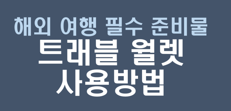  해외여행 필수템! 트래블월렛 사용법 완벽 가이드 - 현금도 카드도 필요없는 스마트 여행!