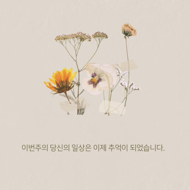  [포토덤프 챌린지 일상 블챌 3주차] 평범했던 한 주 일상의 기록