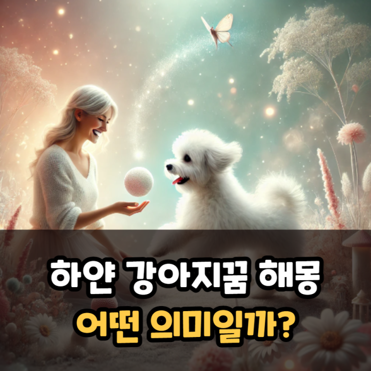  하얀 강아지꿈 해몽 어떤 의미일까?