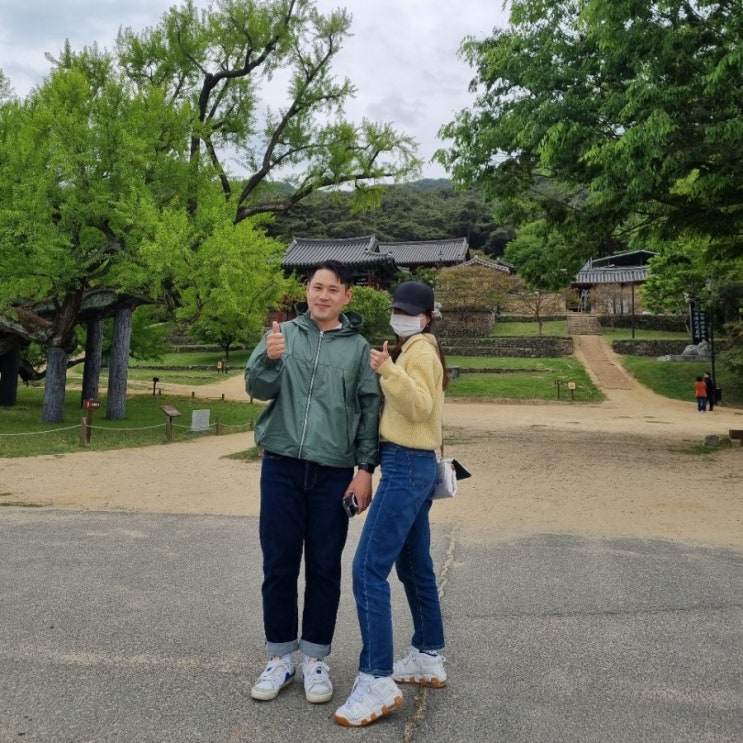  대구 도동서원 여름 대구 근교 가볼만한곳 달성 도동서원 탐방