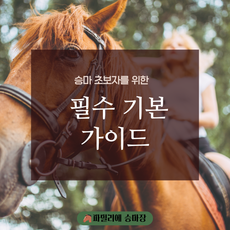  승마 초보자를 위한 필수 기본 가이드