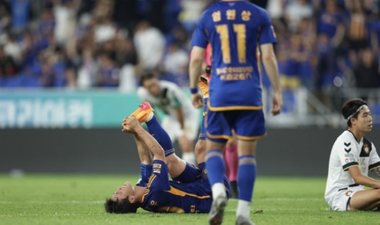 2024시즌 K리그 국내 프로축구 23라운드 울산현대 FC서울 대전하나시티즌 강원FC 2024시즌 K리그 국내 프로축구 23라운드 울산현대 FC서울 대전하나시티즌 강원FC
