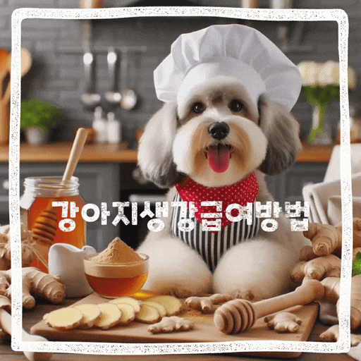  강아지 생강 먹어도 되는 음식 효능 주의점 급여방법