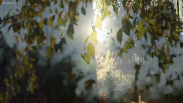  가족해외여행추천 , 여행 전문가 가 정리해드려요 (무료 서비스)