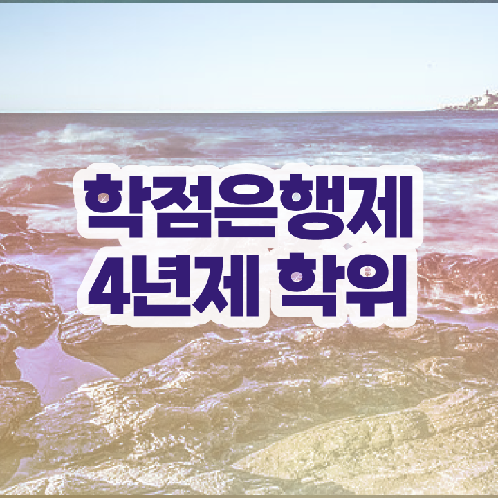  학점은행제 인정자격증 무자격 비전공자도 최단기간 성공한 방법