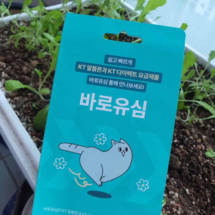  부평선불폰 KT바로유심 개통 후기