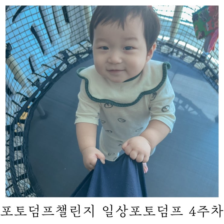  [블챌]포토덤프챌린지 일상포토덤프 4주차
